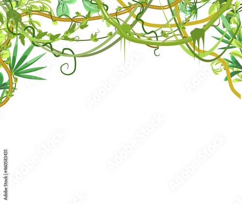 Rainforest canopy. Jungle frame. Branches of tropical trees, grasses and bushes. Stems of vines. Flat cartoon style. Green exotic landscape. Vector.