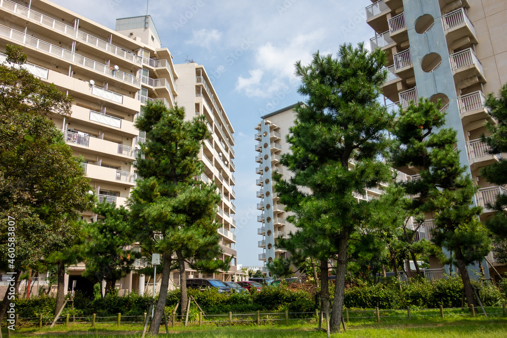 Fototapeta premium building country