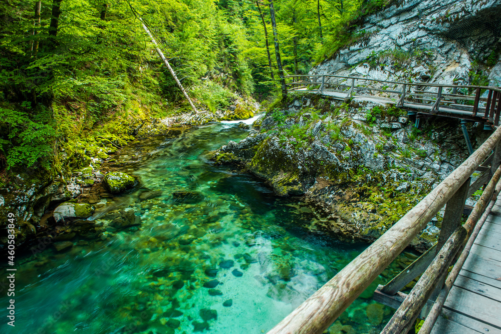 Vintgar Gorge near Lake bled in Slovenia Vintgar Gorge near Lake bled in Slovenia