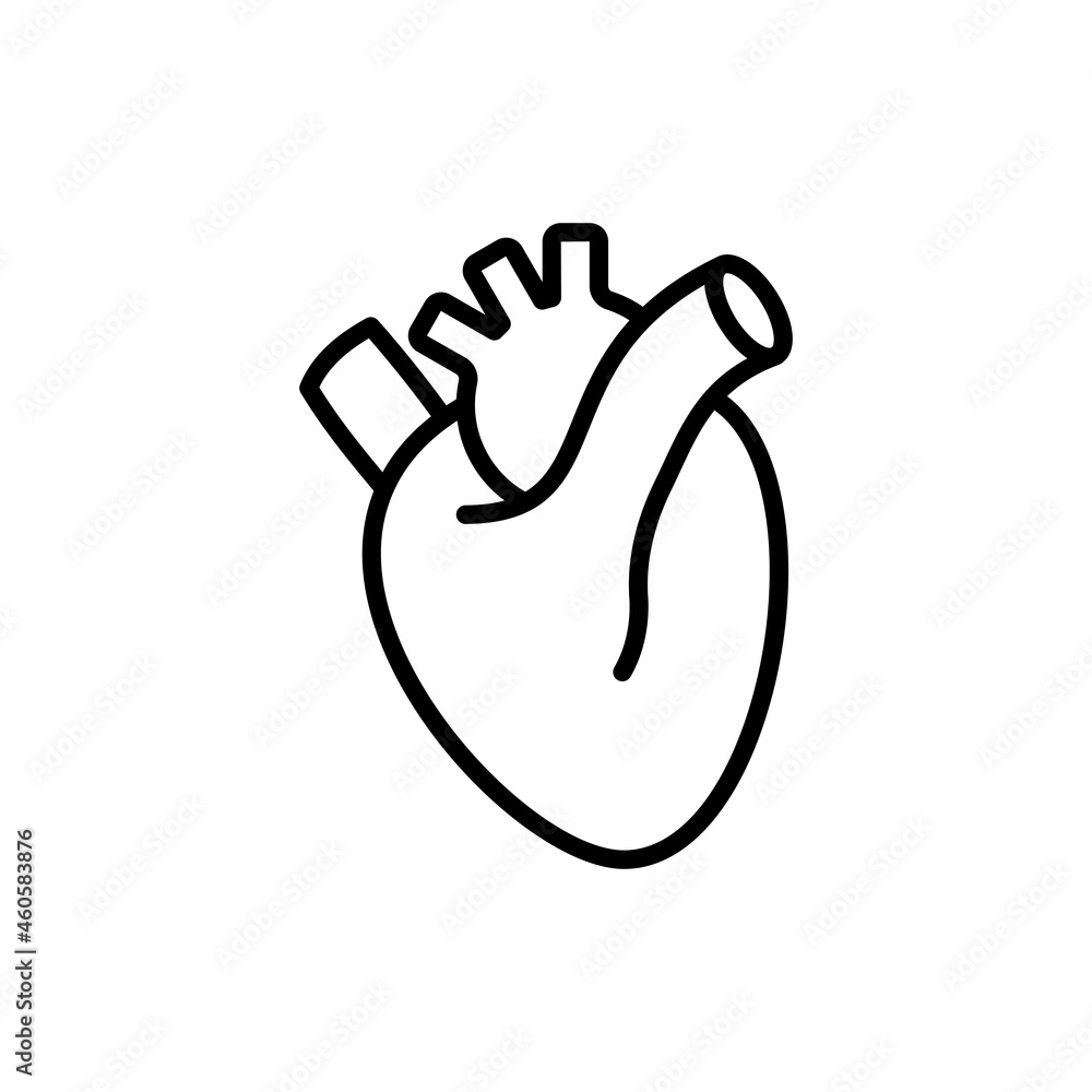 Obraz premium Human anatomical heart thin line icon. Modern vector illustration of human organ.