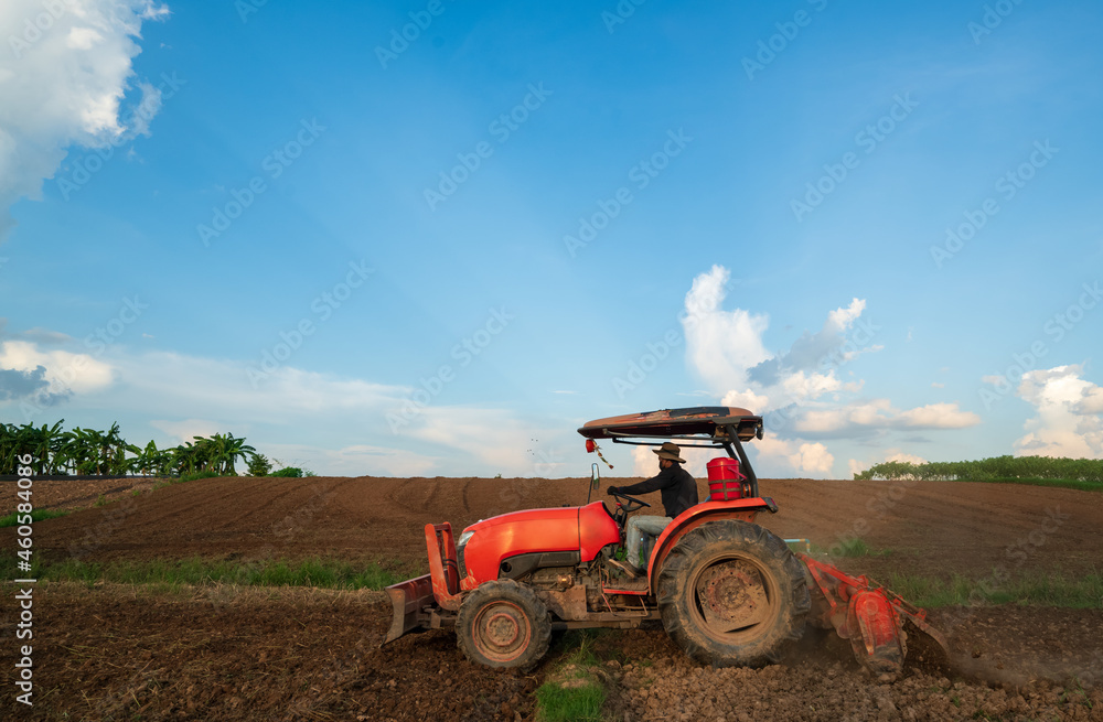 Fototapeta premium Tractor farmer agricultural plows for soil preparation on planting farms.