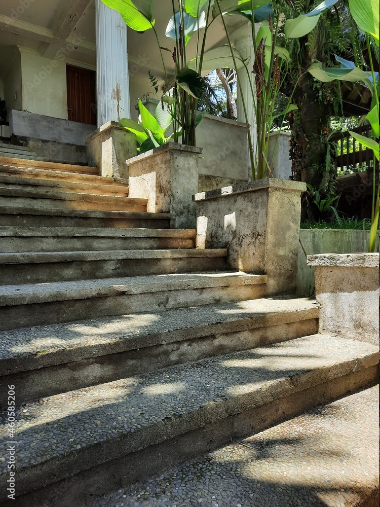 stairs in the garden stairs in the garden