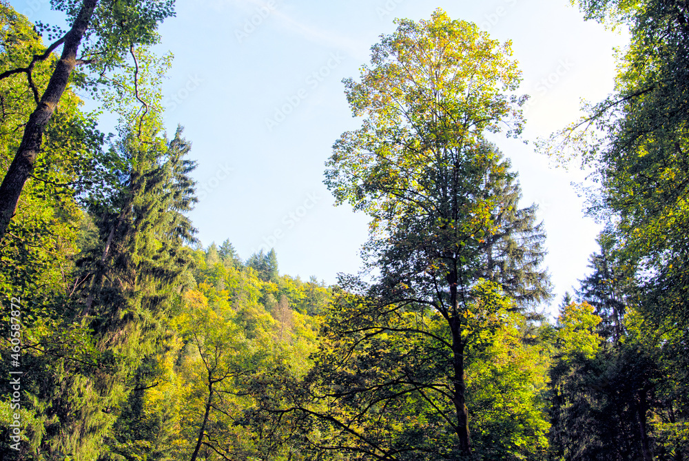 Bei Blechhammer Bei Blechhammer