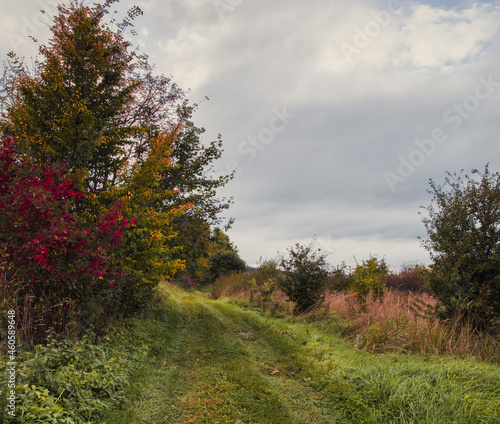Obraz na płótnie Countryside road PL w salonie