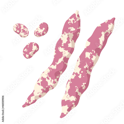 うずら豆のイラスト