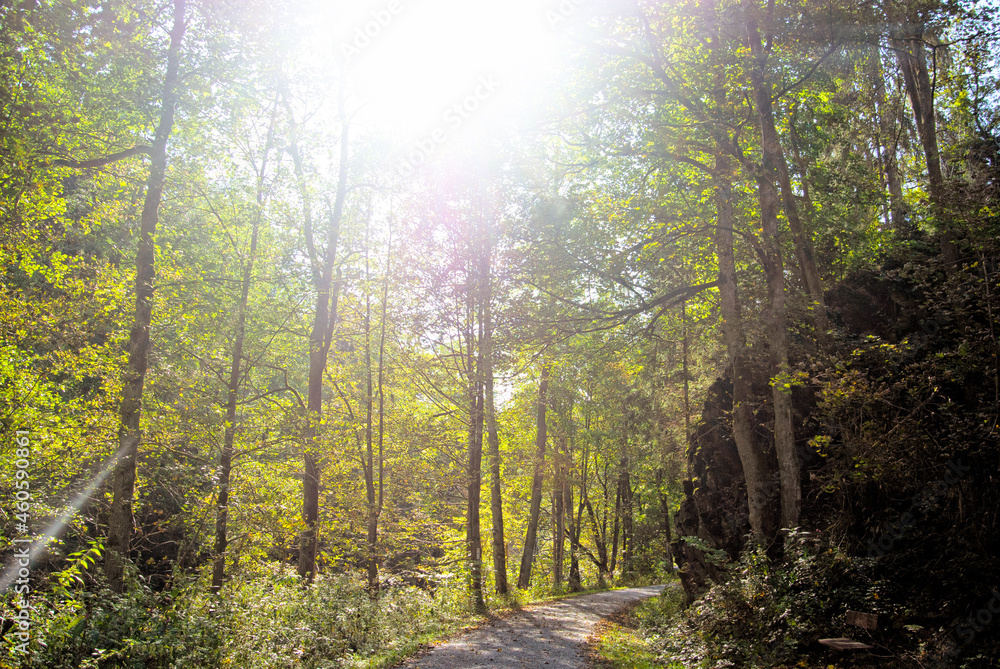 Obraz premium Bei Blechhammer