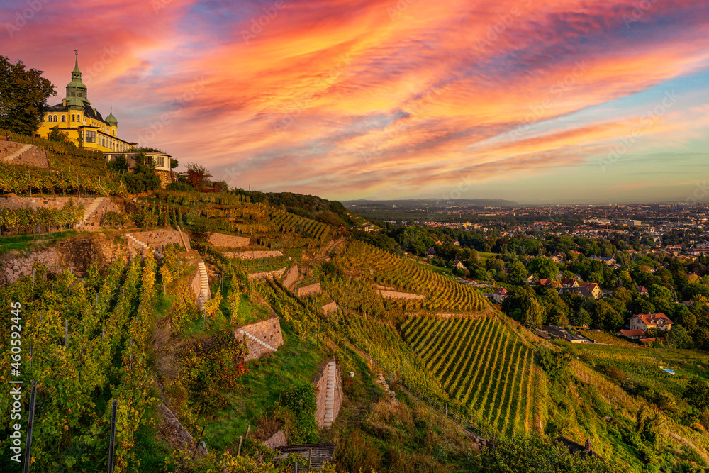 Naklejka premium Radebeul Sachsen Weinhänge Spitzhaus Dresden Wein Grün Sonne Himmel Bismarkturm Hoflößnitz