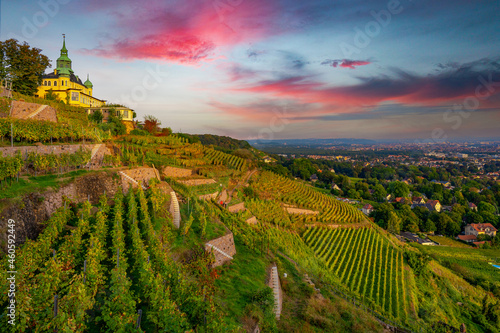 Radebeul Sachsen Weinhänge Spitzhaus Dresden Wein Grün Sonne Himmel Bismarkturm Hoflößnitz photo