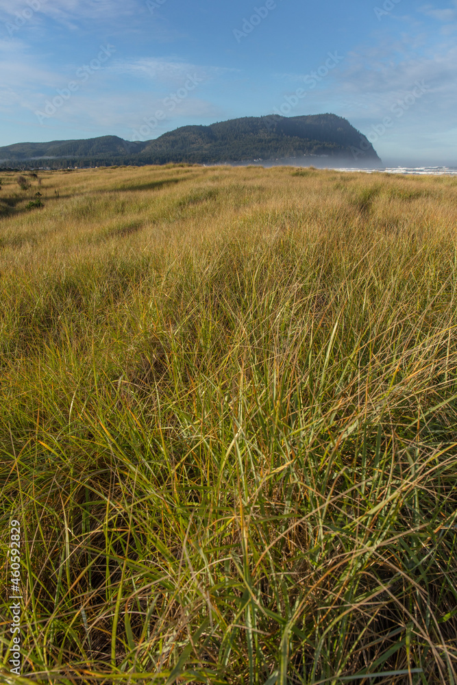 Fototapeta premium The resort town and beach 