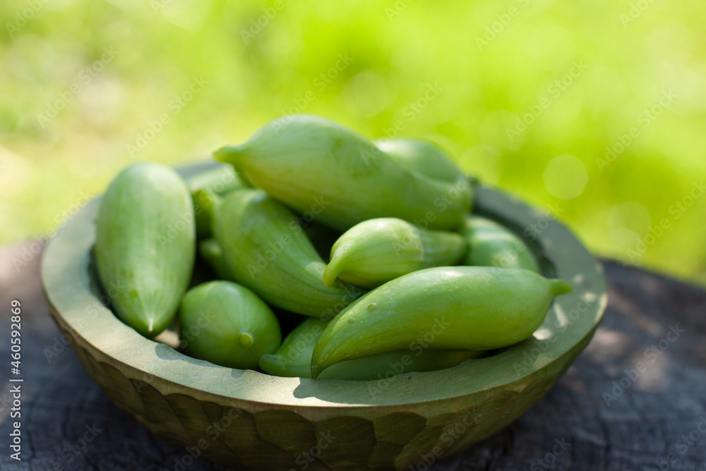 Achocha, Cyclanthera pedata. Mix of chilli. Healthy vegetables in wooden bowl on wooden log Achocha, Cyclanthera pedata. Mix of chilli. Healthy vegetables in wooden bowl on wooden log