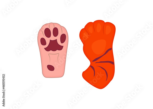 red tiger paws front and back view. Hand drawing tiger