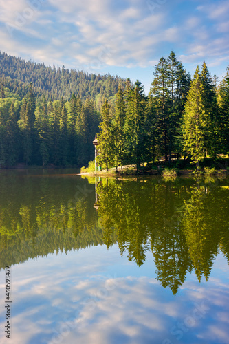 lake of synevyr national park at sunrise. gorgeous summer scenery of carpathian mountains reflecting in the water. popular travel destinations of ukraine. stunning environment among coniferous forest 