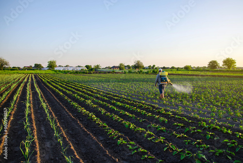Farmer sprays a potato plantation with a sprayer. Effective crop protection of cultivated plants against insects and fungal. Chemical treatment. Mist sprayer  fungicide and pesticide. Working on field