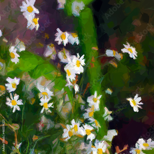 Daisies floral composition
