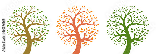 Tree icon set. Life logo. Plant insignia. Environment emblem. Nature symbol. Organic icon. Vector illustration