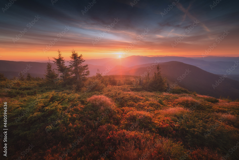 Naklejka premium The gorgeous carpathian mountain valley