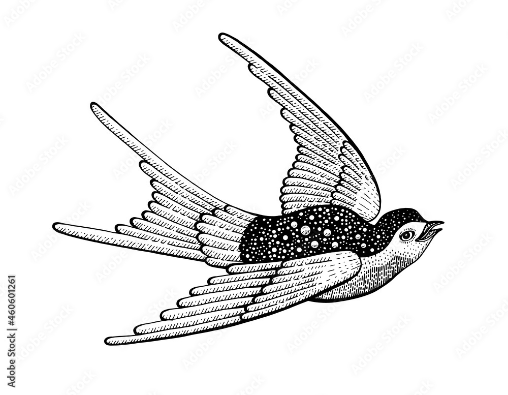 Vintage Swallow