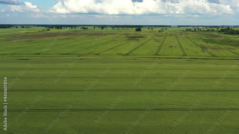 Blooming yellow rapeseed field with blue sky. Beautiful rural scene with canola flowers. Aerial view from drone Blooming yellow rapeseed field with blue sky. Beautiful rural scene with canola flowers. Aerial view from drone