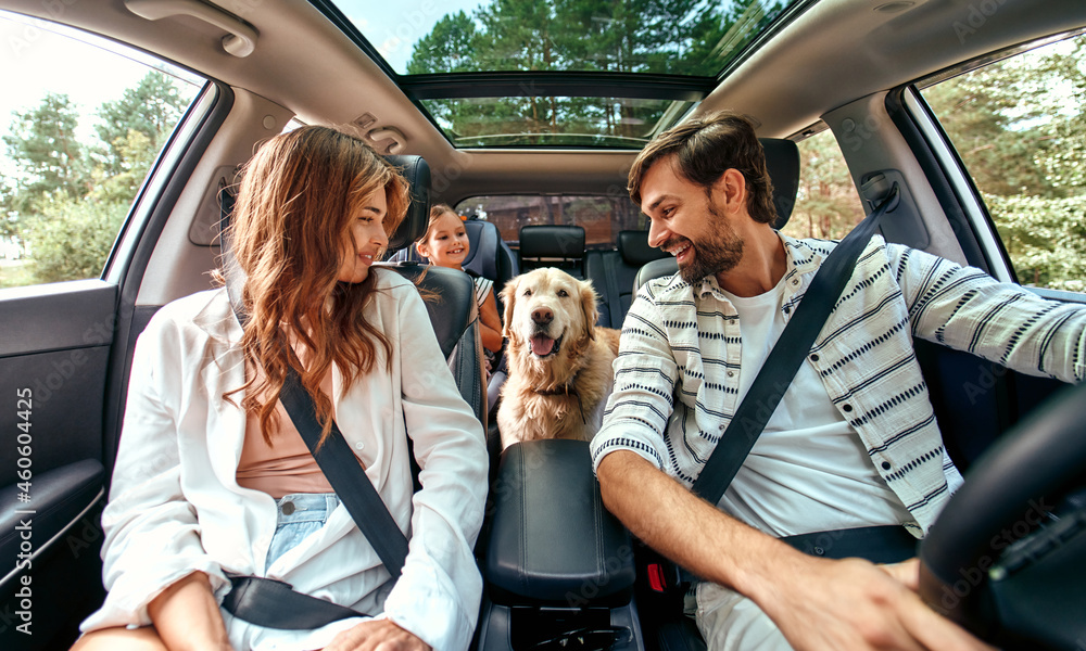 The whole family is driving for the weekend. Mom and Dad with their daughter and a Labrador dog are sitting in the car. Leisure, travel, tourism. - obrazy, fototapety, plakaty 