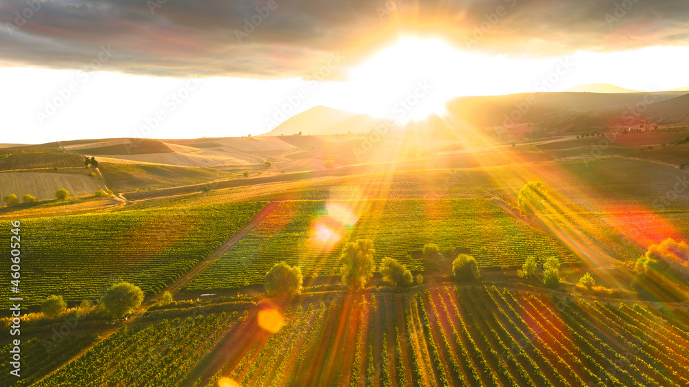 lens flare, sunrays over the vineyards, hilly landscape after rain. Aerial view, drone shot. lens flare, sunrays over the vineyards, hilly landscape after rain. Aerial view, drone shot.