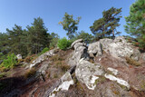 Avon rock in Fontainebleau forest