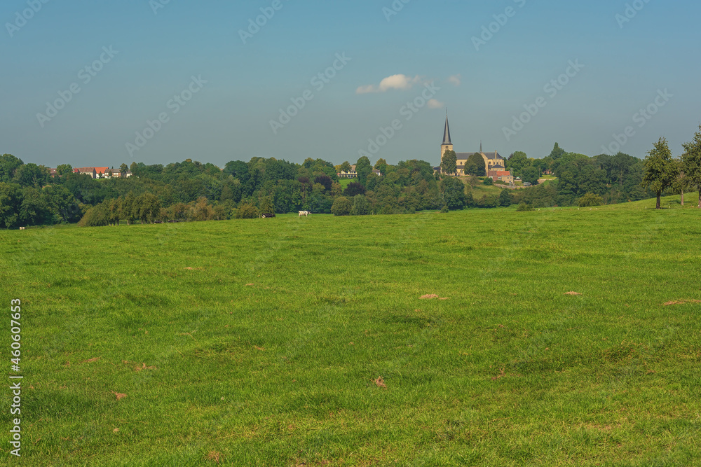 Rolling meadow with some cows and a thick row of trees with a church and some houses on the horizon under blue sky.