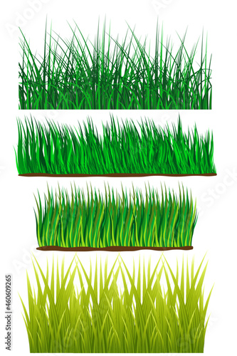 Gras Varianten in verschiedenen Farben, geschwungen photo