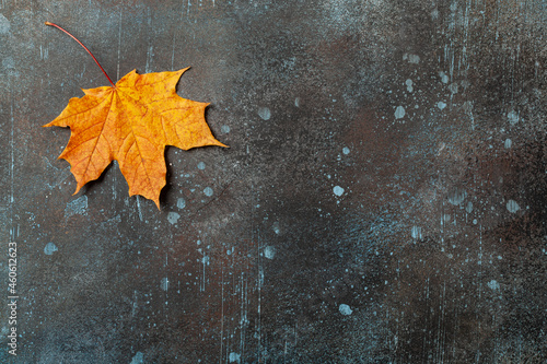 Autumn background with fall maple leaf on rusted metallic surface