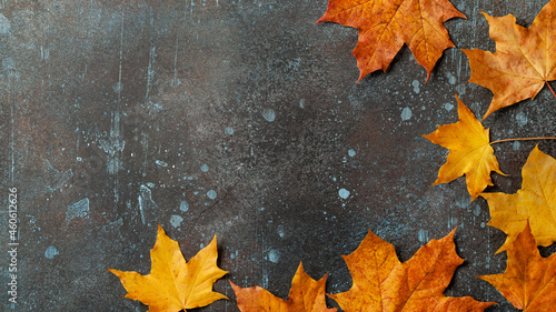 Autumn background with fall maple leaves on rusted metallic surface