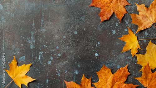 Autumn background with fall maple leaves on rusted metallic surface
