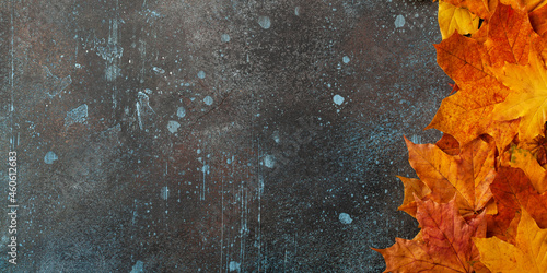 Autumn background with fall maple leaves on rusted metallic surface