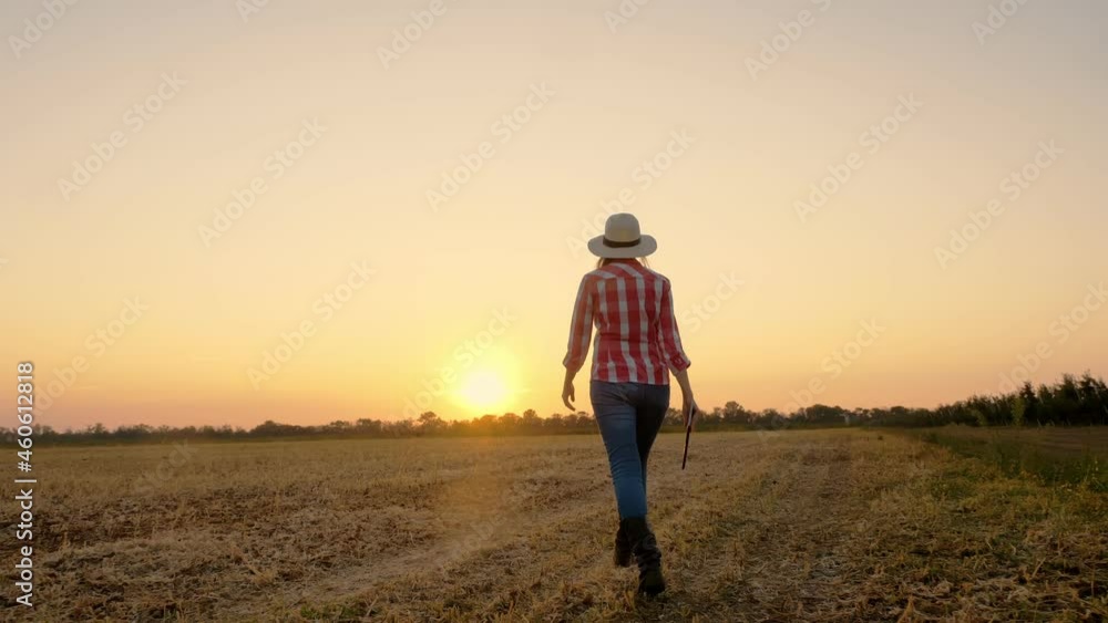 farmer walks at sunset. farming. farmer silhouette. female farmer with digital tablet in her hands, walking through a mown field, at sunset or the rising sun. agriculture farming business concept. farmer walks at sunset. farming. farmer silhouette. female farmer with digital tablet in her hands, walking through a mown field, at sunset or the rising sun. agriculture farming business concept.