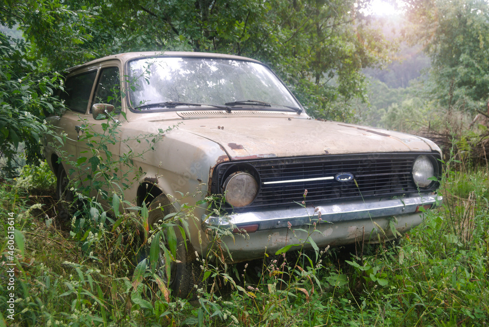 Sucata de carro antigo abandonado no meio de um bosque, ferrugento em contra luz com arbustos