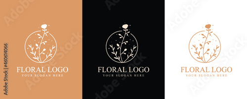 Botanical Hand Drawn collection Logo with Wild Flower and Leaves. Logo for spa and beauty salon, boutique, organic shop, wedding, floral designer, interior, photography, cosmetic. vector illustration