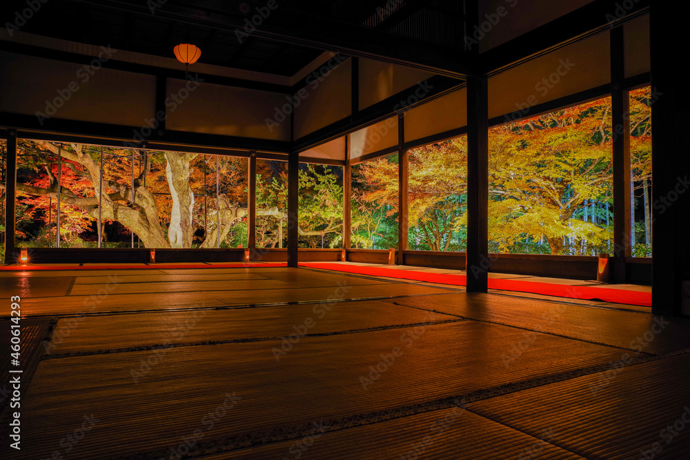 Fototapeta premium 秋の京都・宝泉院の紅葉