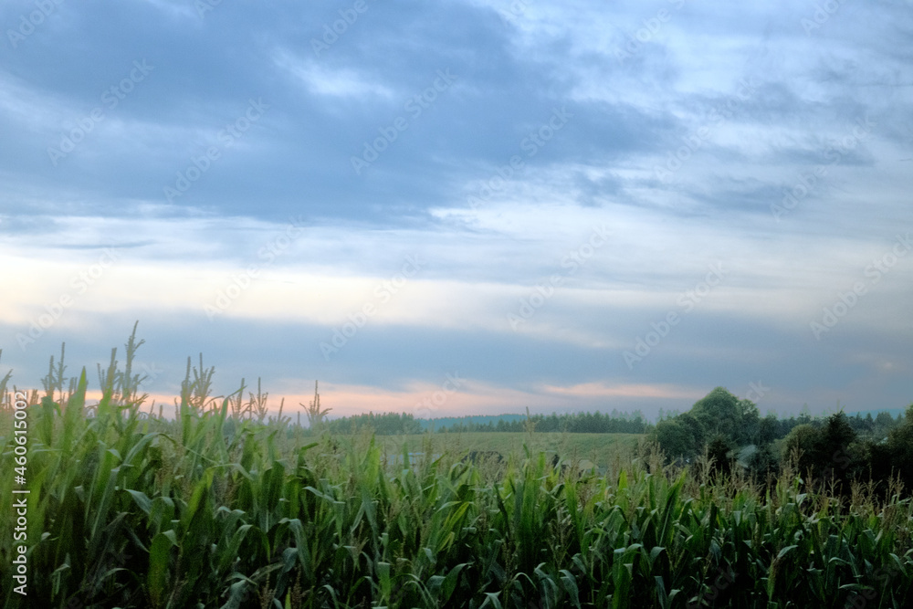 Obraz premium Bei Blechhammer