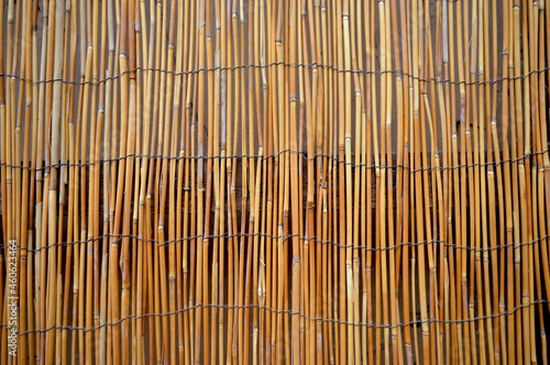 Fototapeta Naklejka Na Ścianę i Meble -  Bamboo background texture