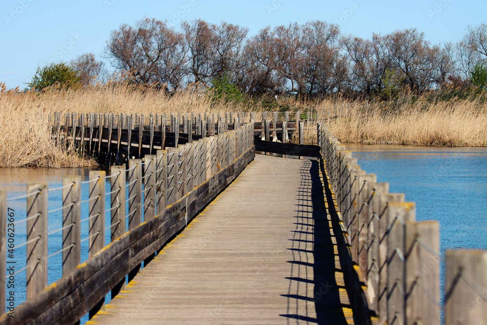 Wooden footbridge in a lake