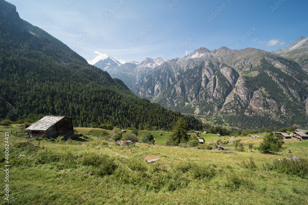 landscape near gasenried in the canton of valais in switzerland. 
