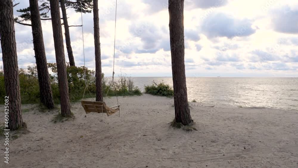 Swings hanging in seaside forest with large old pine trees . Baltic sea landscape view. Swings hanging in seaside forest with large old pine trees . Baltic sea landscape view.