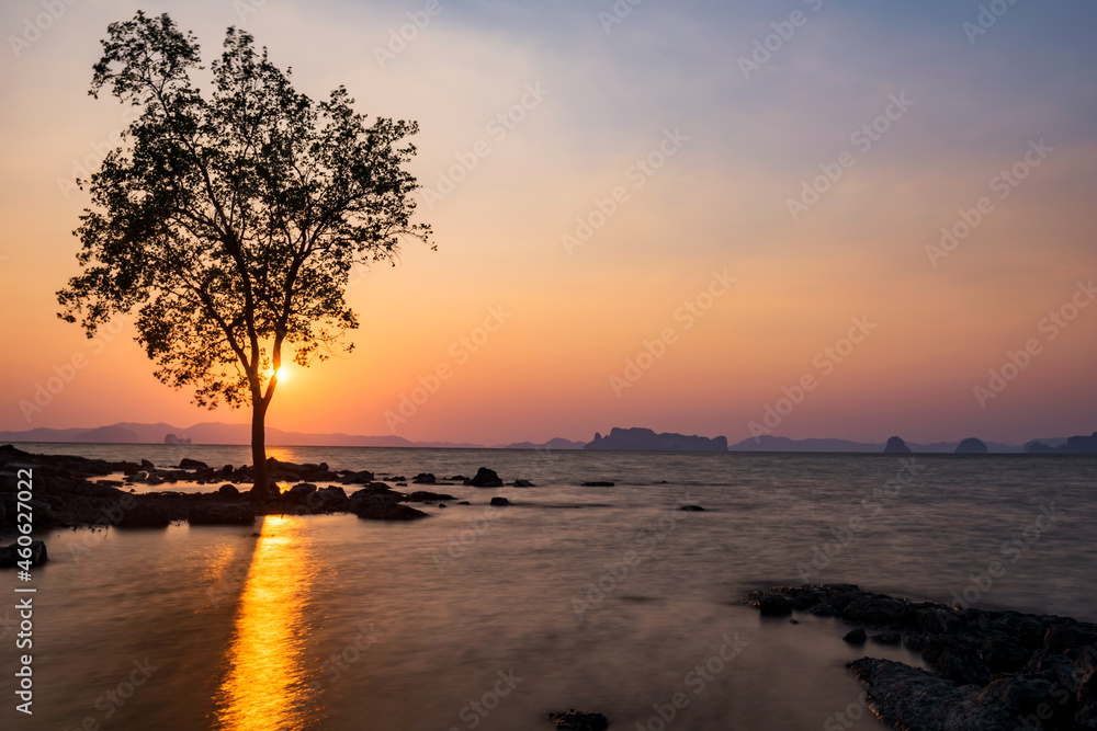 Silhouette tree and seascape at sunset, Krabi