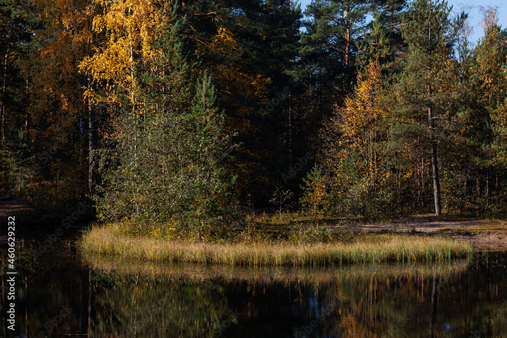Tiny island in the middle of the pond in early autumn forest. Tiny island in the middle of the pond in early autumn forest.