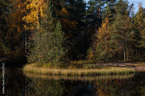 Tiny island in the middle of the pond in early autumn forest. 