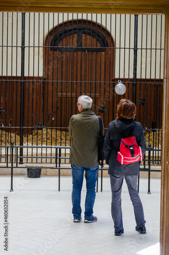 Wallpaper Mural Couple dans un jardin zoologique Torontodigital.ca