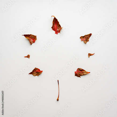 Creative minimalist falt lay. Maple leaf silhouette on gray background with copy space. photo