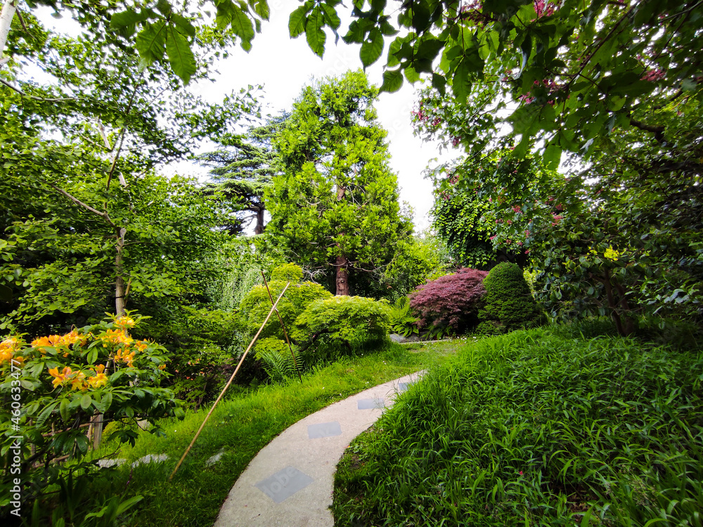 path in the park path in the park