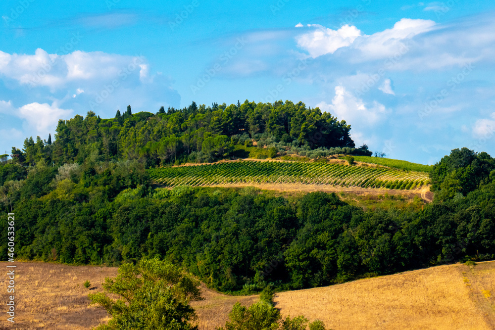 Landscapes in Tuscany along via Francigena between San Miniato and Gambassi Terme Landscapes in Tuscany along via Francigena between San Miniato and Gambassi Terme