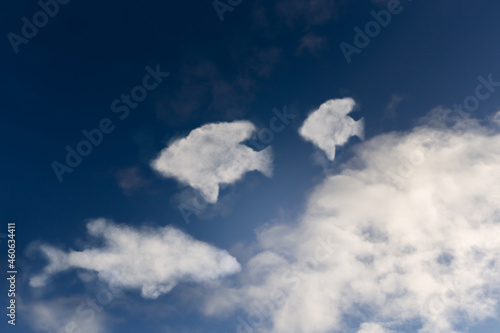 Close-up of clouds shaped like fish