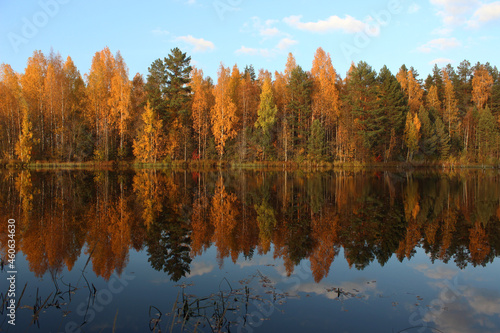 autumn trees reflected in water