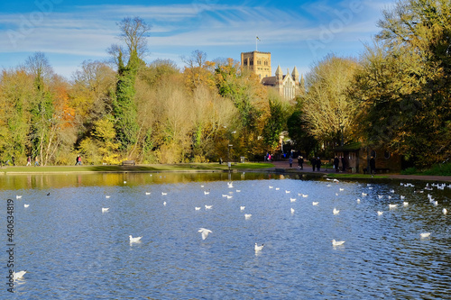 The ornamental lake in Verulanium Park, St Albans, UK.